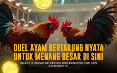 Kuasai Sabung Ayam SV388: Jenis Ayam, Odds, dan Strategi Jitu