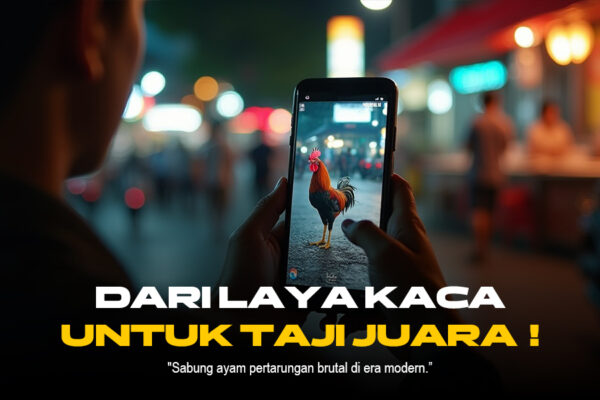 Menguak Keunggulan Ayam Bangkok dalam Sabung Ayam SV388