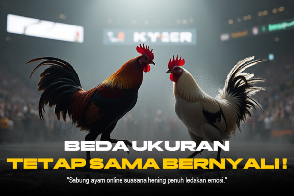 Mengenal Jenis-Jenis Ayam Sabung yang Populer di SV388