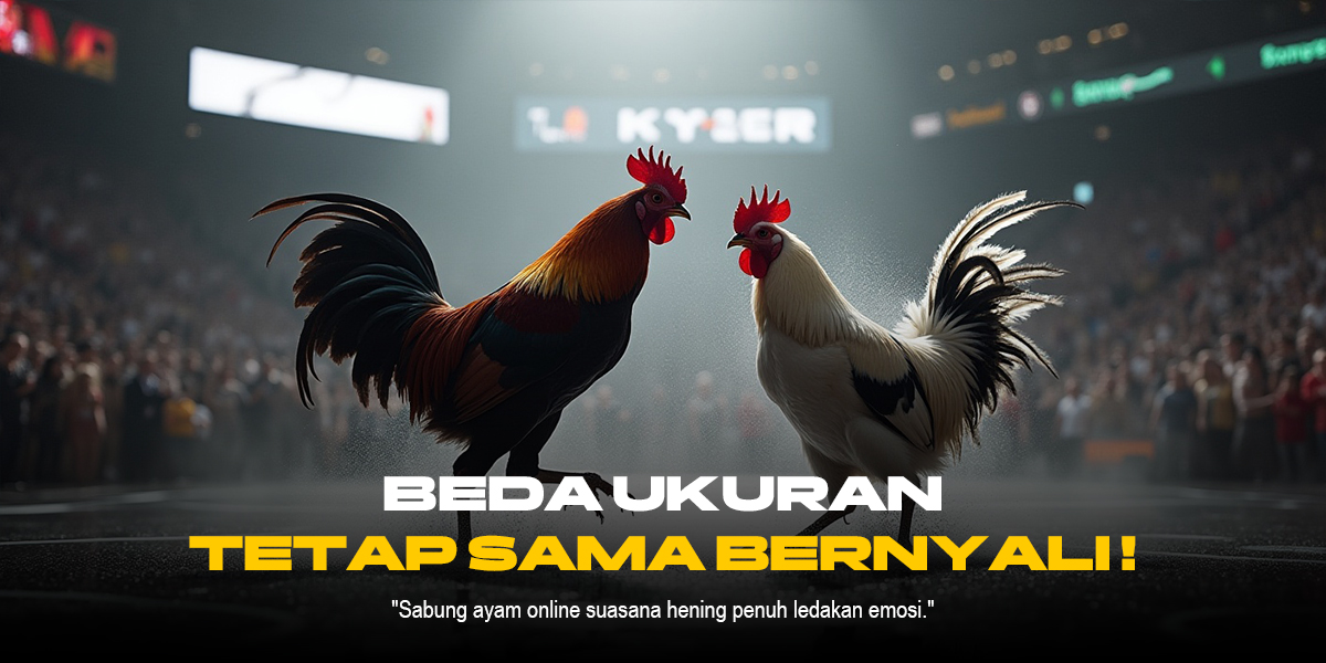 Mengenal Jenis-Jenis Ayam Sabung yang Populer di SV388