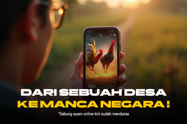Mengenal SABUNG AYAM Jenis Bangkok Aduan di SV388