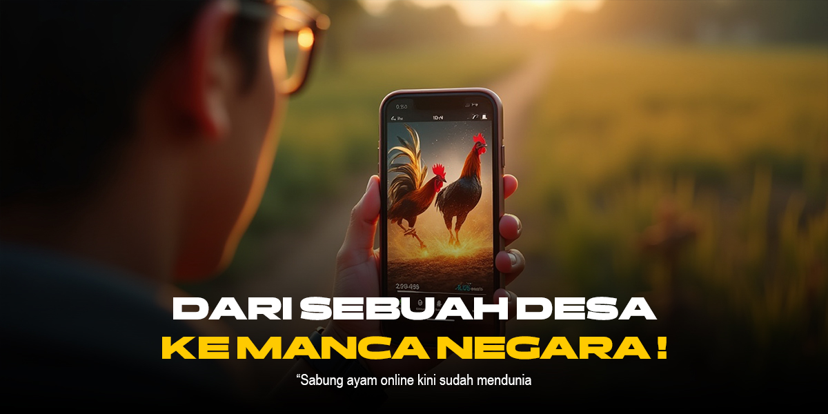 Mengenal SABUNG AYAM Jenis Bangkok Aduan di SV388